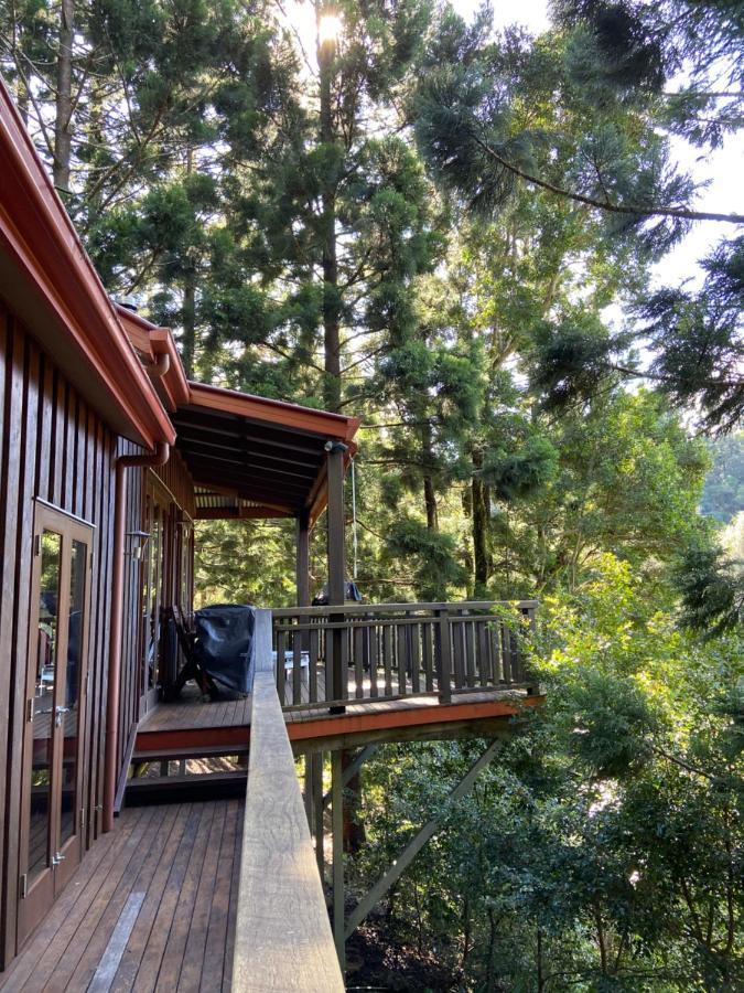 Cottage In The Woods, Maleny Eksteriør billede