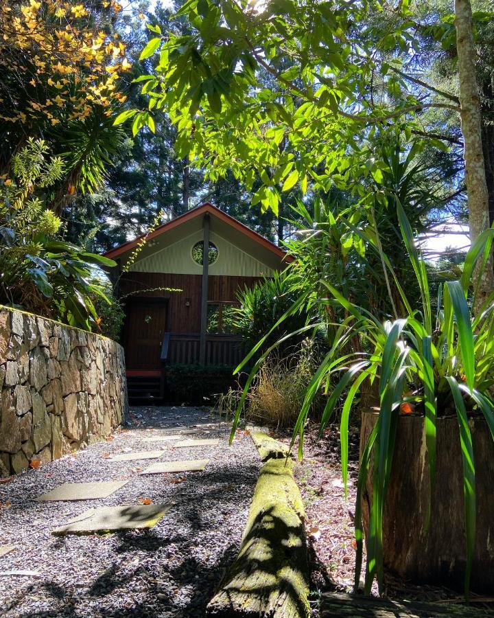 Cottage In The Woods, Maleny Eksteriør billede
